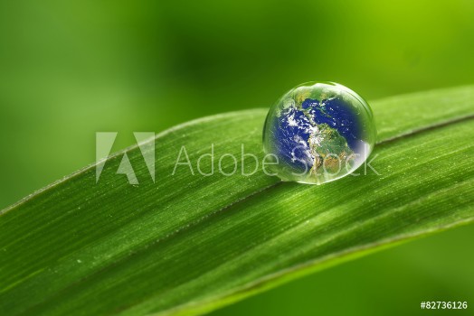 Picture of leaf with rain droplets - Recovery earth concept